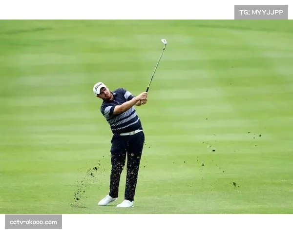 美巡赛“招牌赛事”政策改革效果初显，顶级球员参赛率提升